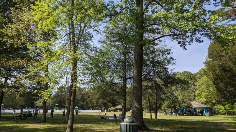 Atlantic County Park - Mays Landing, NJ
