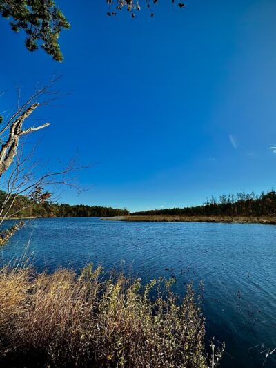 Atlantic County Park - Mays Landing, NJ