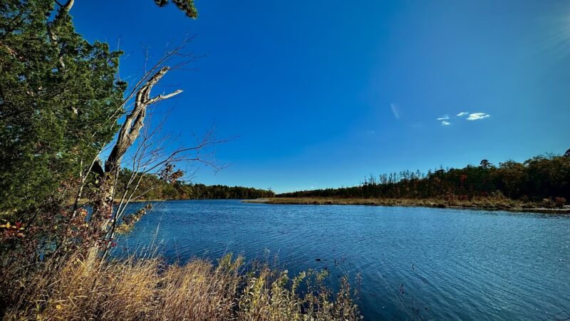Atlantic County Park - Mays Landing, NJ