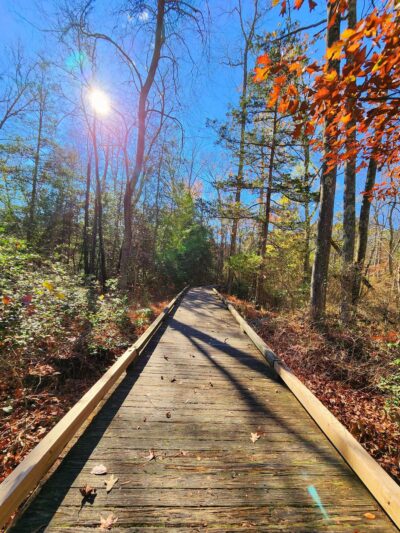 Atlantic County Park - Mays Landing, NJ