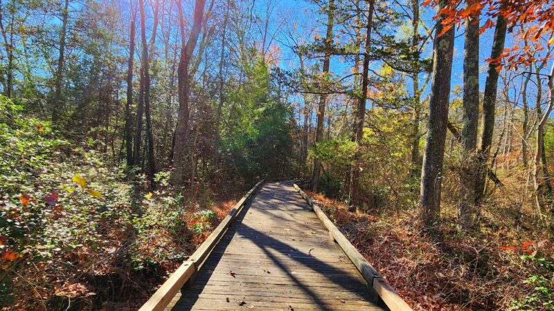 Atlantic County Park - Mays Landing, NJ