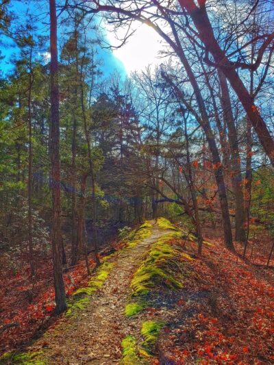 Atlantic County Park - Mays Landing, NJ