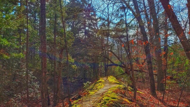 Atlantic County Park - Mays Landing, NJ