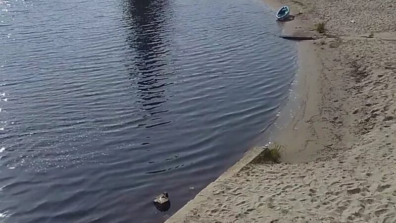 Lake Lenape Park East - Mays Landing, NJ