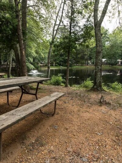 Mays Landing Campground - Mays Landing, NJ