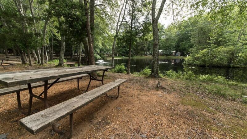 Mays Landing Campground - Mays Landing, NJ