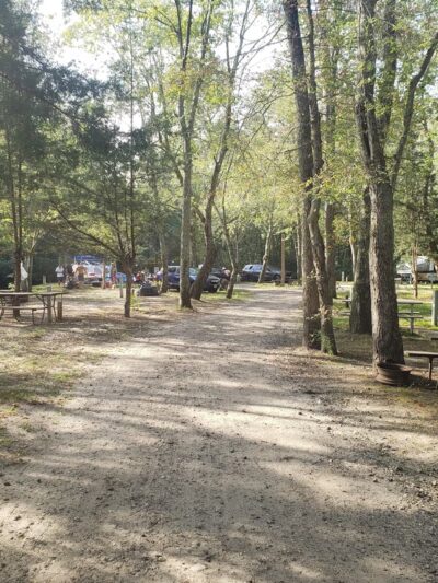 Mays Landing Campground - Mays Landing, NJ