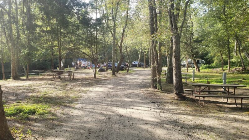 Mays Landing Campground - Mays Landing, NJ