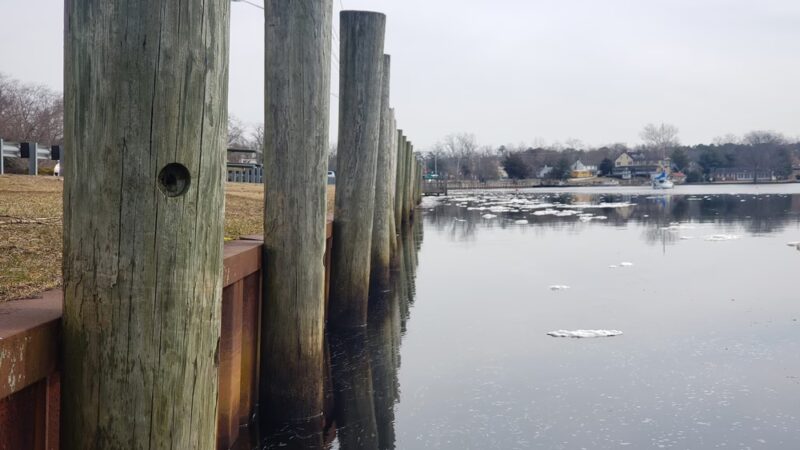 Mays Landing Marina - Mays Landing, NJ