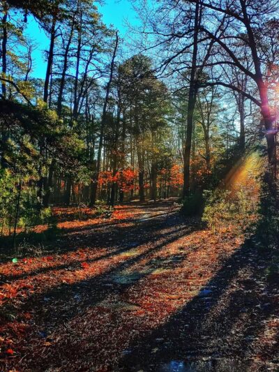 Warren E. Fox Nature Center - Mays Landing, NJ