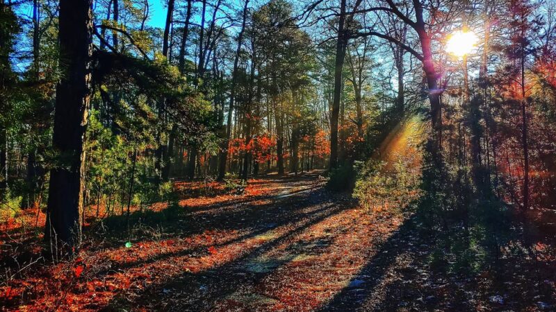 Warren E. Fox Nature Center - Mays Landing, NJ