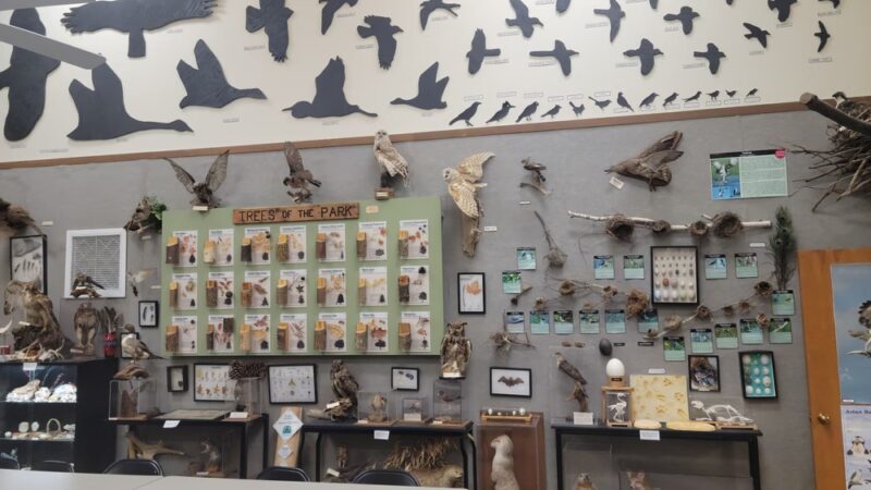 Warren E. Fox Nature Center - Mays Landing, NJ
