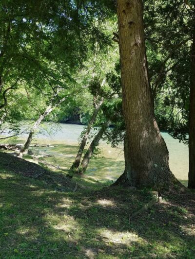 Mary Chilton aka Spread Park - Maysel, WV