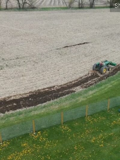 Wag-n-Tag Dog park - Mayville, WI