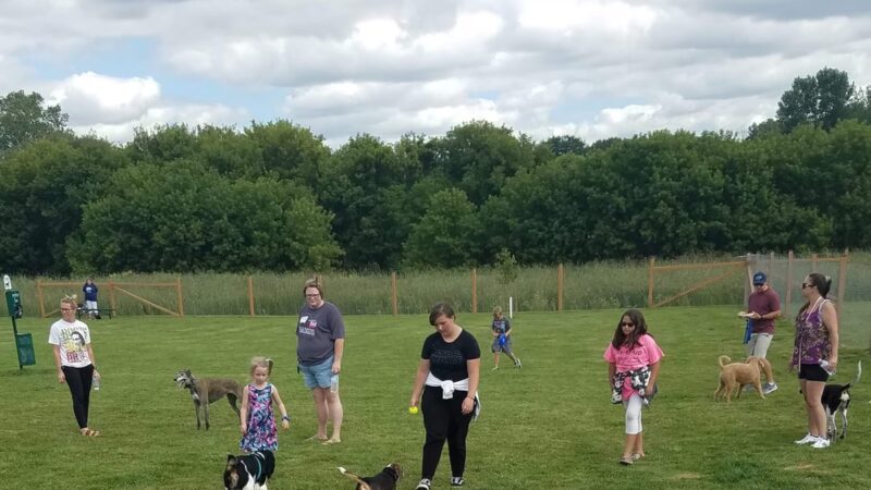 Wag-n-Tag Dog park - Mayville, WI