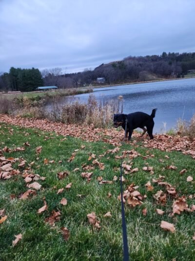 Lake Marion Park - Mazomanie, WI