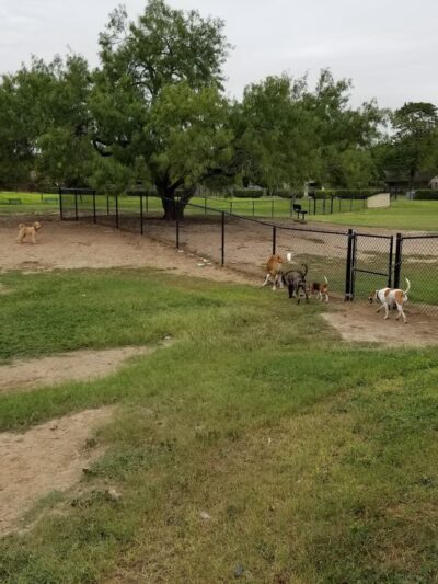 McAllen Dog Park - McAllen, TX