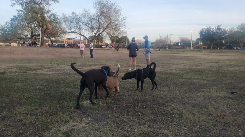 McAllen Dog Park - McAllen, TX