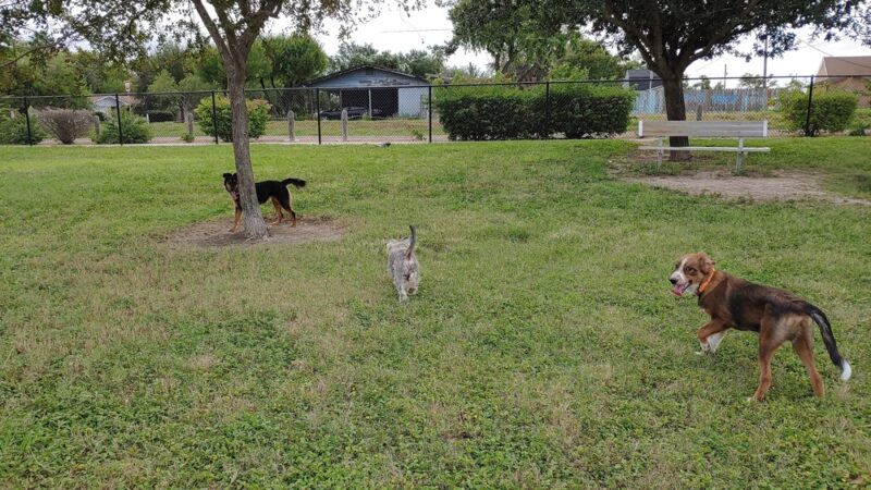 McAllen Dog Park - McAllen, TX