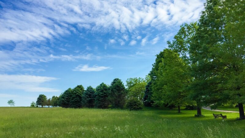 Mountain Dale Farm - McClure, PA
