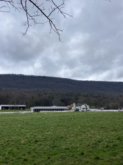Mountain Dale Farm - McClure, PA