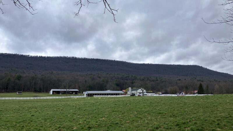 Mountain Dale Farm - McClure, PA