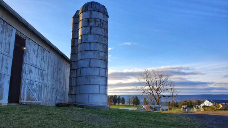 Mountain Dale Farm - McClure, PA