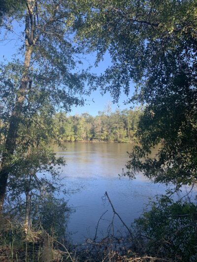 Mystic Springs Cove Inc - McDavid, FL