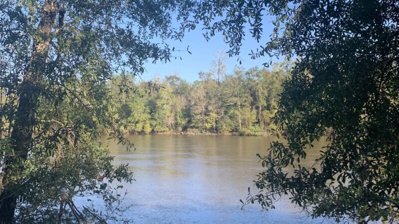 Mystic Springs Cove Inc - McDavid, FL