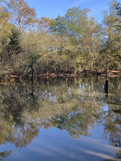 Mystic Springs Cove Inc - McDavid, FL