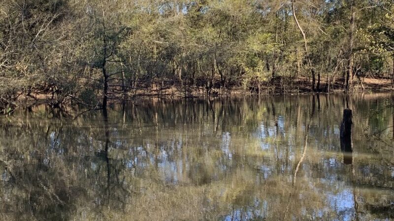 Mystic Springs Cove Inc - McDavid, FL