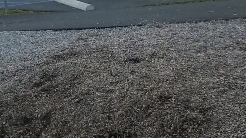 Fort Run Park - McGrann, PA