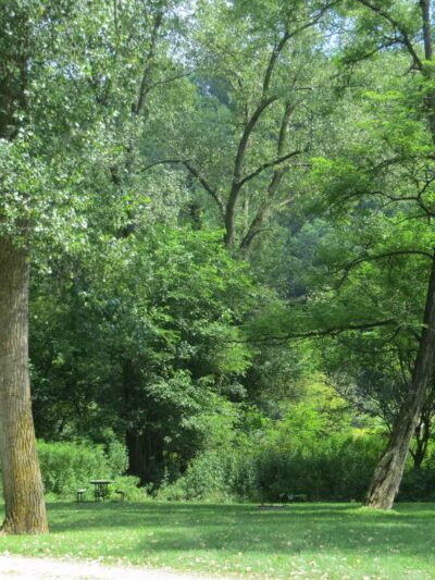 Bloody Run County Park - McGregor, IA