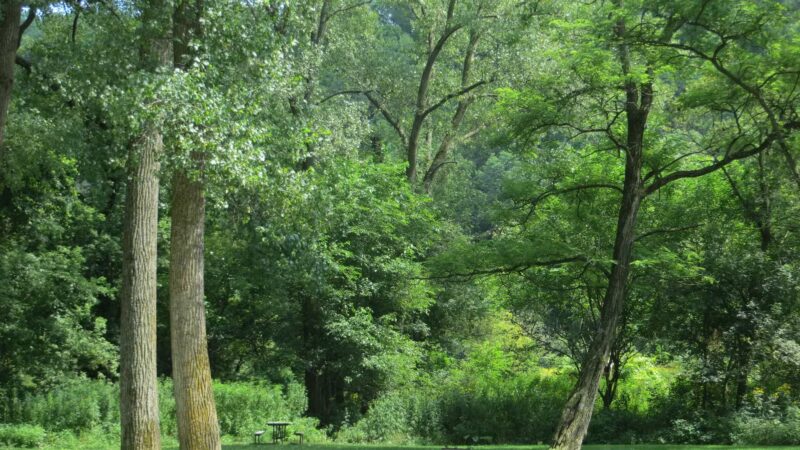 Bloody Run County Park - McGregor, IA