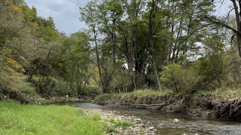 Bloody Run County Park - McGregor, IA