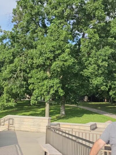 Pikes Peak State Park - McGregor, IA