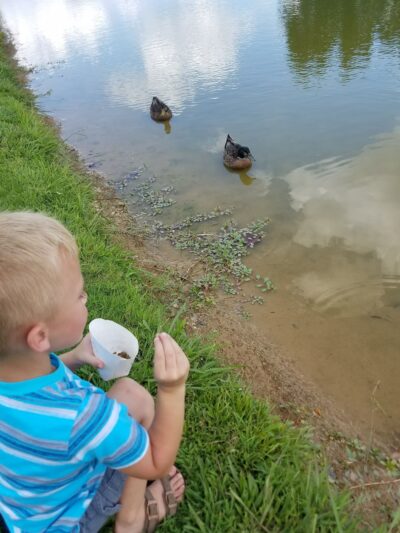 McKenzie Park - McKenzie, TN