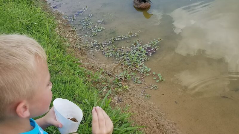 McKenzie Park - McKenzie, TN