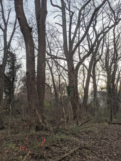Churchill Road Park - McLean, VA