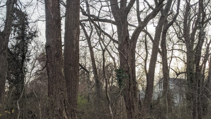 Churchill Road Park - McLean, VA