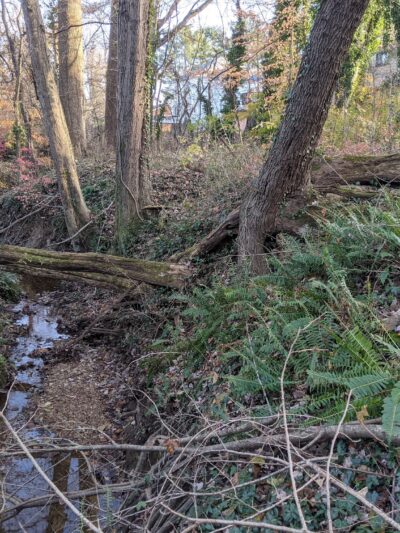 Churchill Road Park - McLean, VA
