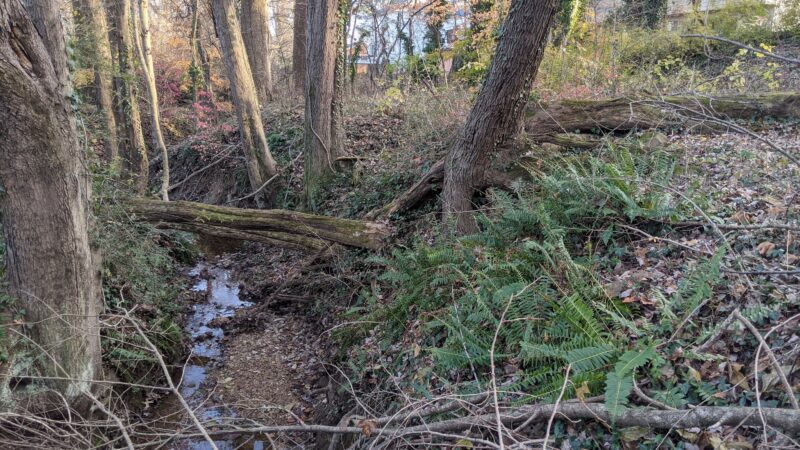 Churchill Road Park - McLean, VA