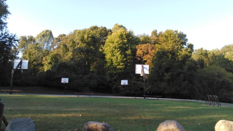 Langley Fork Park - McLean, VA