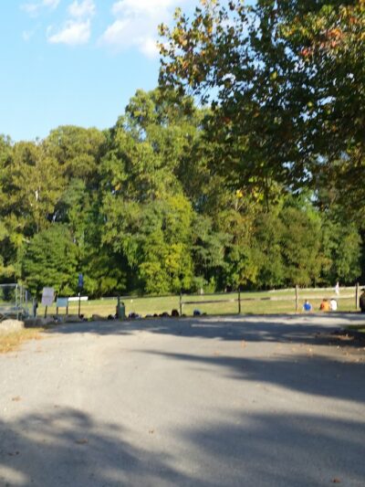 Langley Fork Park - McLean, VA