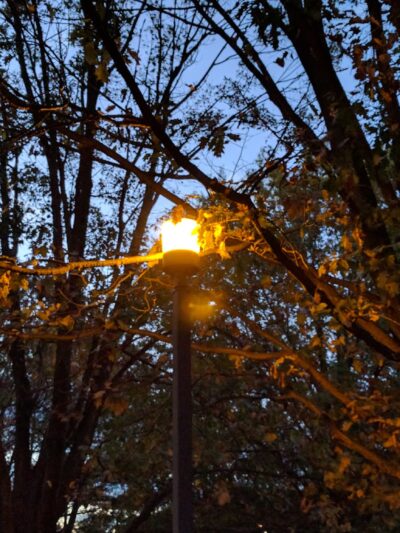 Linway Terrace Park - McLean, VA
