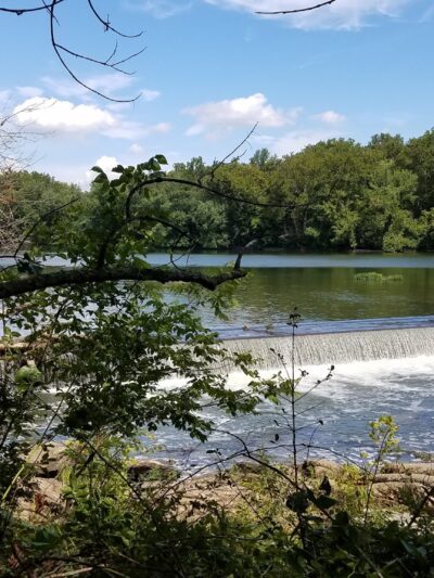 McLean Hamlet Park - McLean, VA