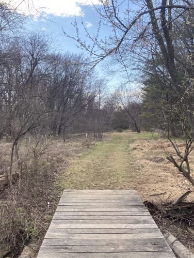 McLean Hamlet Park - McLean, VA