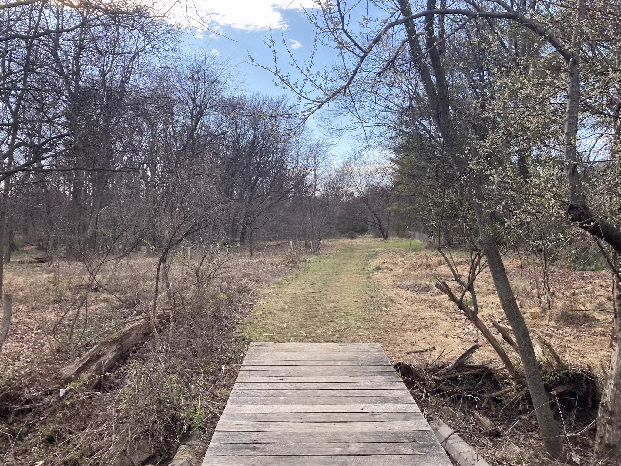 McLean Hamlet Park - McLean, VA