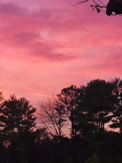 McLean High School Community Park - McLean, VA