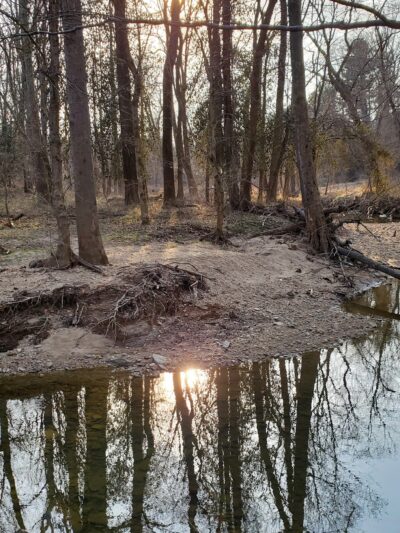 Potomac Hills Park - McLean, VA
